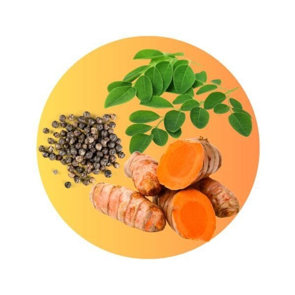 Blend Antiinflamatorio en polvo - (Moringa + Cúrcuma + Pimienta) para infusión o preparaciones - Imagen 2