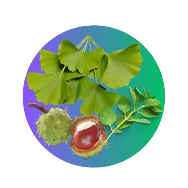 Blend Cardiovascular - (Castaño de Indias + Ginkgo Biloba + Orégano) en Cápsulas - Imagen 3