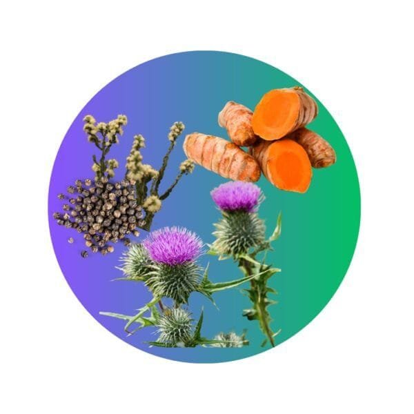 Blend Hepático - (Cardo Mariano + Cúrcuma + Pimienta + Carqueja) en Cápsulas - Imagen 3