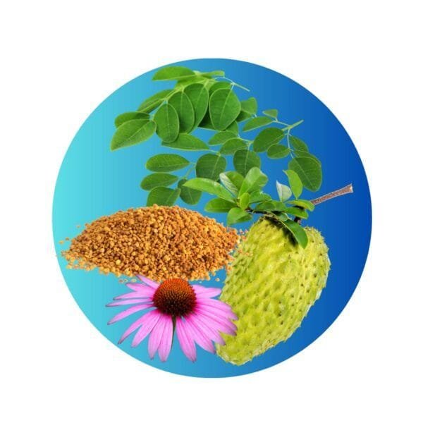 Blend Inmune - (Moringa + Graviola + Polen + Echinacea) en Cápsulas - Imagen 3