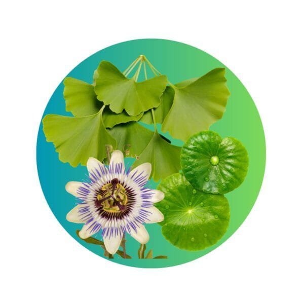 Blend Neuronal - (Ginkgo Biloba + Centella Asiática + Pasionaria) en Cápsulas - Imagen 3