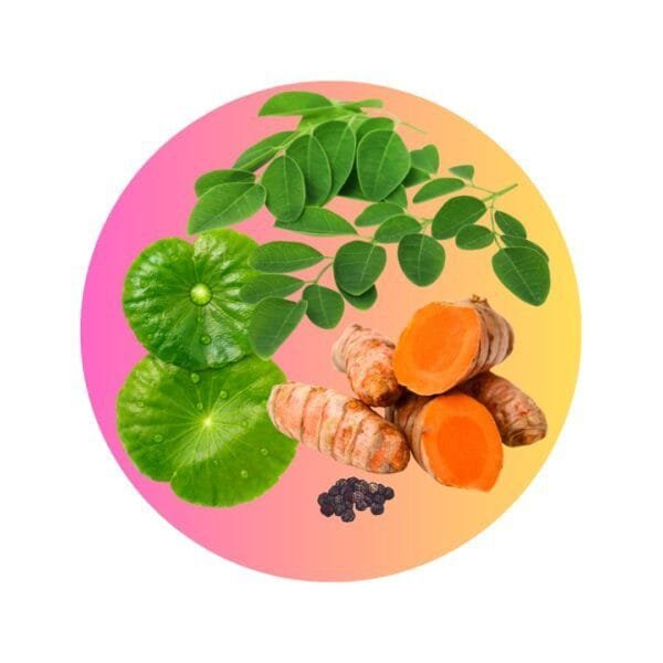 Blend Osteoarticular - (Moringa + Cúrcuma + Pimienta + Centella Asiática) en Cápsulas - Imagen 3