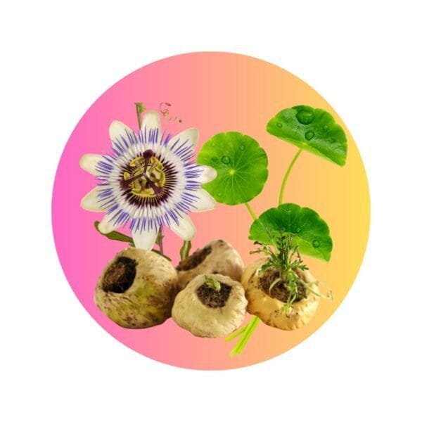 Blend Hormonal en polvo - (Centella Asiática + Maca + Pasionaria) para infusión o preparaciones - Imagen 2