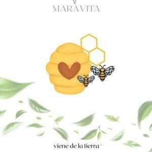 De la Colmena