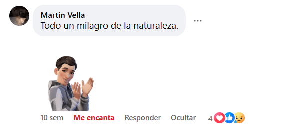 Testimonio 5