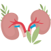 Salud renal