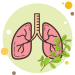Salud respiratoria